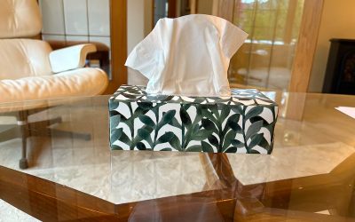 Tool #5: The Kleenex Wad of Resilience