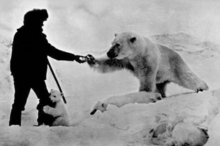 Tool #11: The Parka of Feeling Wisely